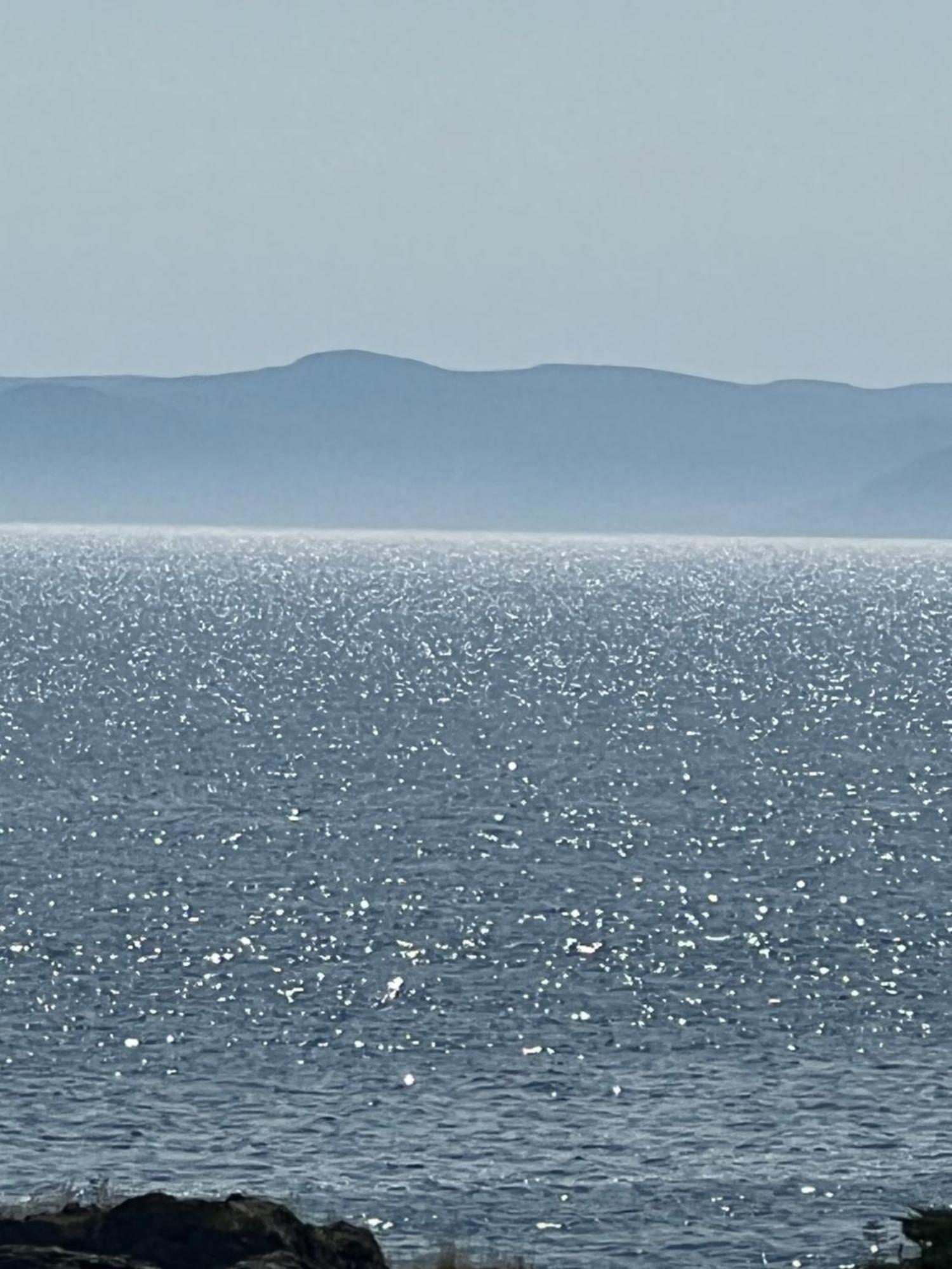 The View Suites And Breakfast In Triton, Newfoundland Pilley's Island Экстерьер фото