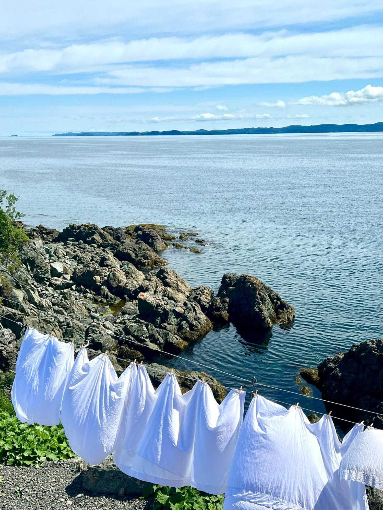 The View Suites And Breakfast In Triton, Newfoundland Pilley's Island Экстерьер фото