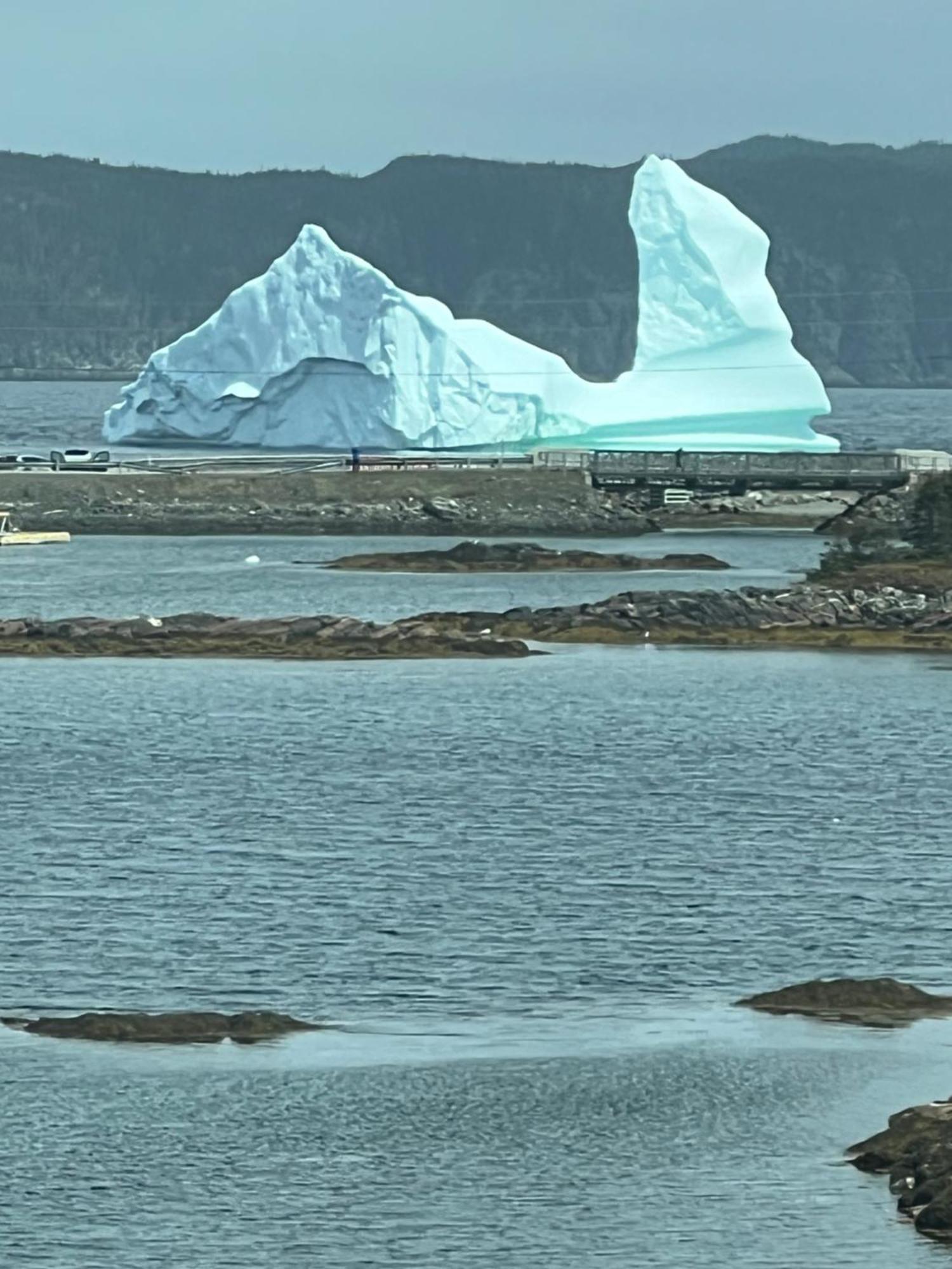 The View Suites And Breakfast In Triton, Newfoundland Pilley's Island Экстерьер фото