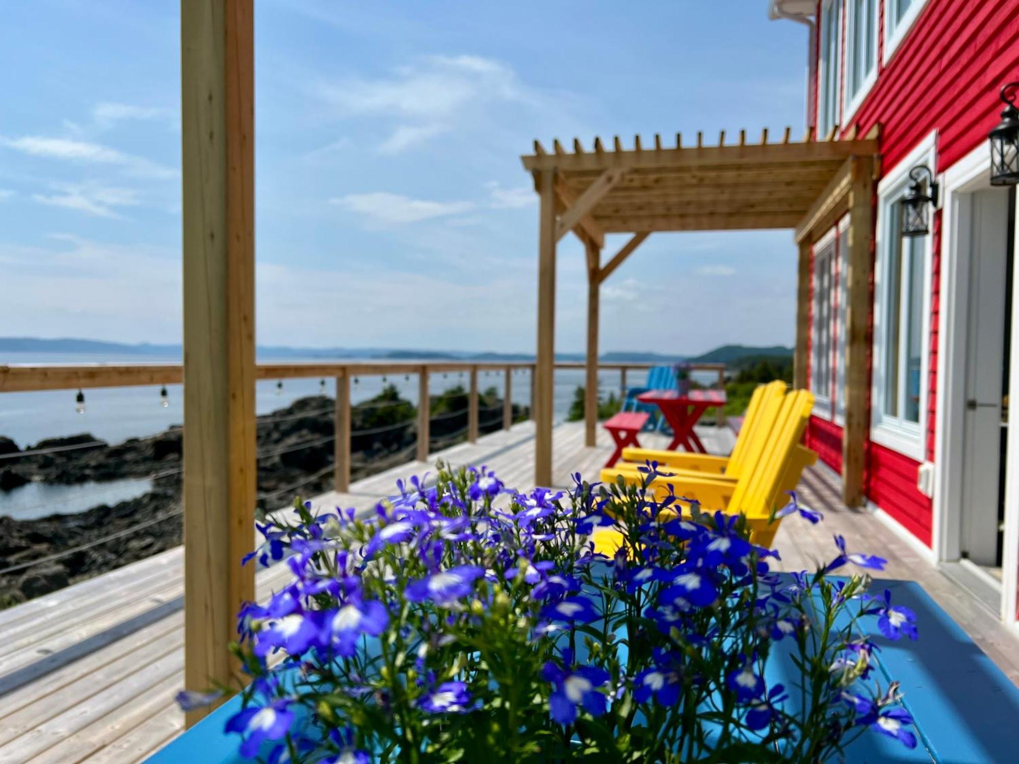 The View Suites And Breakfast In Triton, Newfoundland Pilley's Island Экстерьер фото
